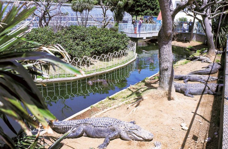 Atagawa Tropical & Alligator Garden (Banana-Wani-En), Japan